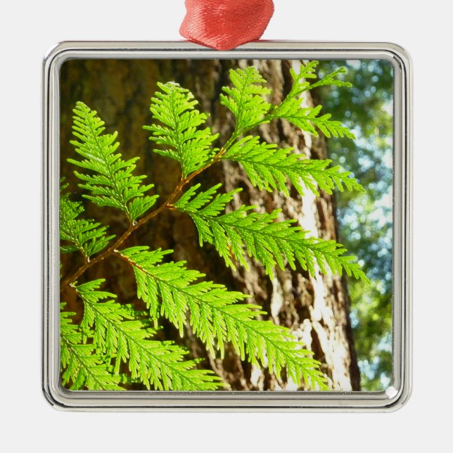 Höhepunkte eines Redwood Tree Botanical Ornament Aus Metall (Vorne)