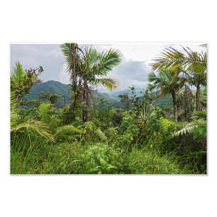 Höhepunkte und Täler des Yunque Fotodruck