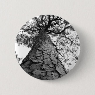 Hoher Baum BW Button