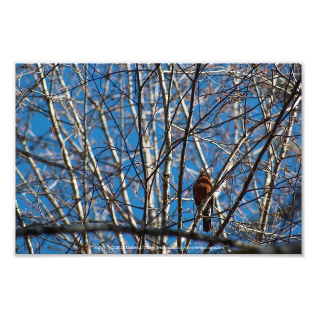 höher fotodruck (Vorne)