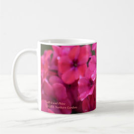 Hoher korallenroter Phlox Kaffeetasse