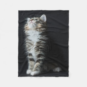 Hoher Tabby Fleecedecke