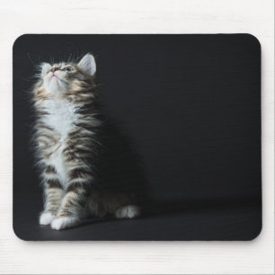 Hoher Tabby Mousepad