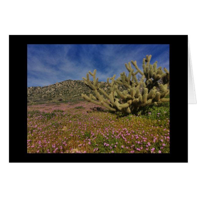 Hoher Wüstenfrühling (Vorderseite (Horizontal))