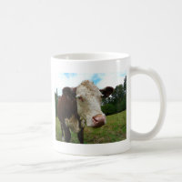 Hohes Def Hereford