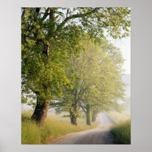 Höhlendecke  Große Smokey Mountains, TN Poster