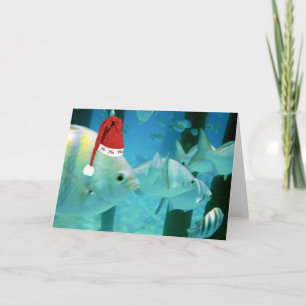HoHoHo tropische Fische Feiertagskarte
