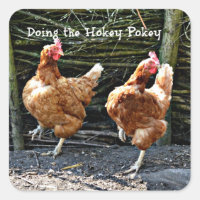 Hokey Pokey machen,