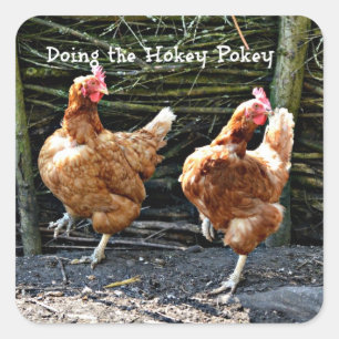 Hokey Pokey machen, Quadratischer Aufkleber