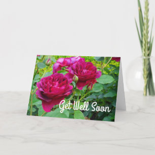 Hol dich bald Darcey Bussell Rose #2 Card Karte