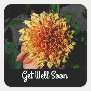 Hol dir bald Dahlia Sandia Brocade #1-2 Stickers
