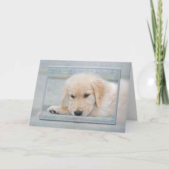 Hol dir bald den Golden Retriever Karte (Vorderseite)