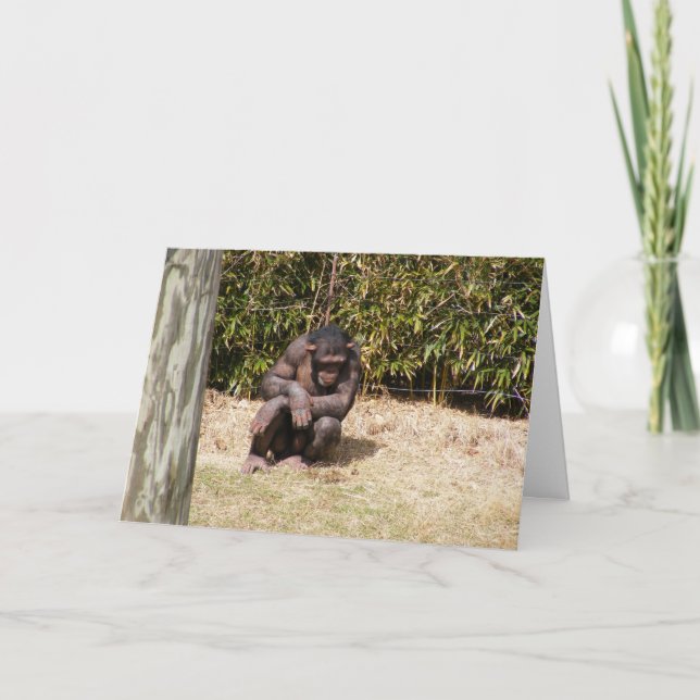 Hol dir bald die Karte #1 (Vorderseite)