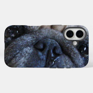 Hol dir bald einen tollen Mops-Hund iPhone 16 Hülle
