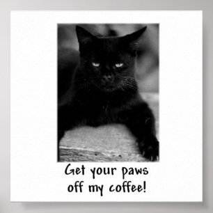 Hol dir deine Paws von meinem Kaffee! Funny Cat Po Poster