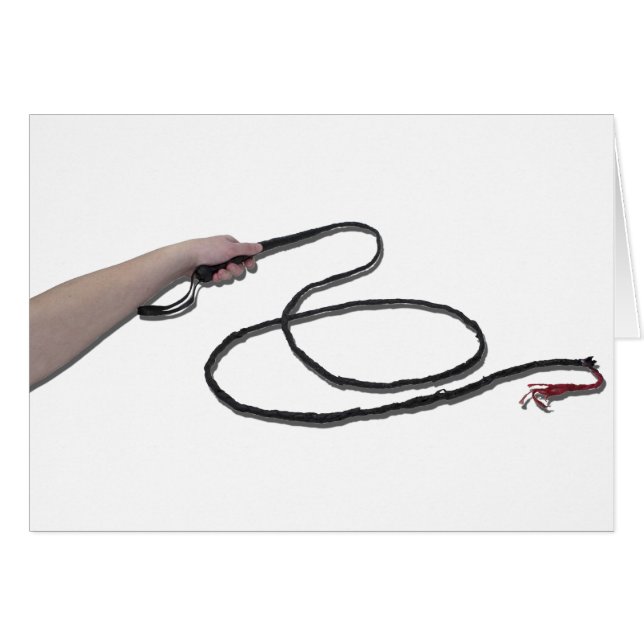 HoldingWhip103110 (Devant horizontal)