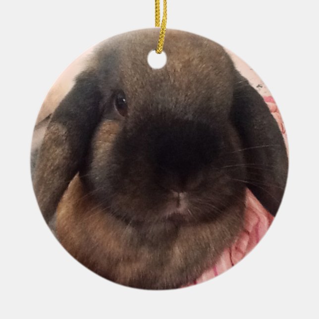 Holen Sie etwas Furriness zu Ihrem Baum Keramikornament (Vorne)