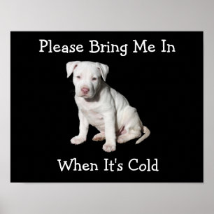 Holen Sie mich bitte herein, wenn es kaltes Hunde- Poster