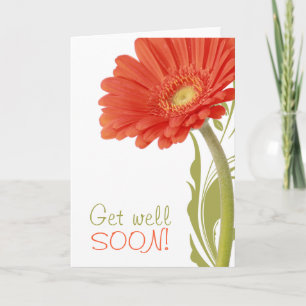 Holen Sie sich bald Orange Gerbera Daisy Blank Ins Karte