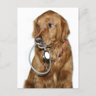 Holen Sie sich goldene Retriever Postkarte