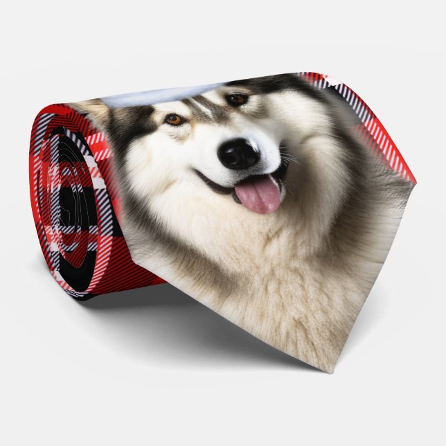 Holiday Alaskan Malamute Red White Kariert Weihnac Krawatte (Gerollt)