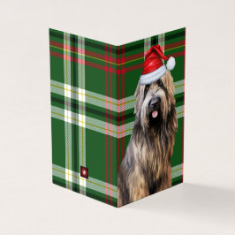 Holiday Briard Shepherd Dog Green Kariert Weihnach