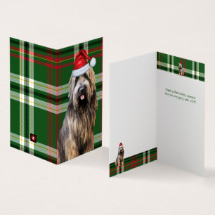 Holiday Briard Shepherd Dog Green Kariert Weihnach
