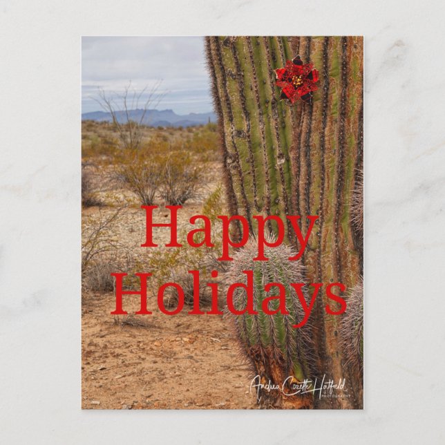 Holiday Cactus Postkarte (Vorderseite)