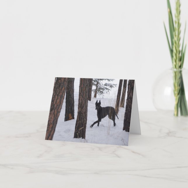 Holiday Card Feiertagskarte (Vorderseite)