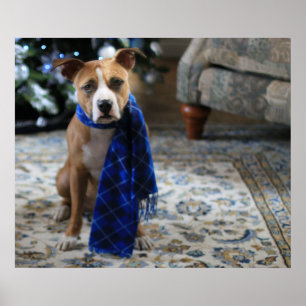 Holiday Cheer von Pit Bull Rescue Dog Poster