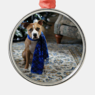 Holiday Cheer von Pit Bull Rescue Dog Silbernes Ornament