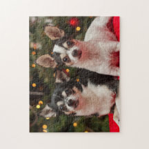Holiday Chihuahua