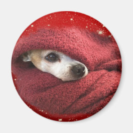 Holiday Chihuahua Magnet