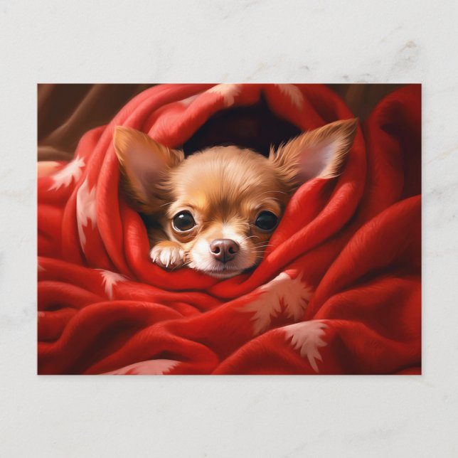 Holiday Chihuahua Postkarte (Vorderseite)