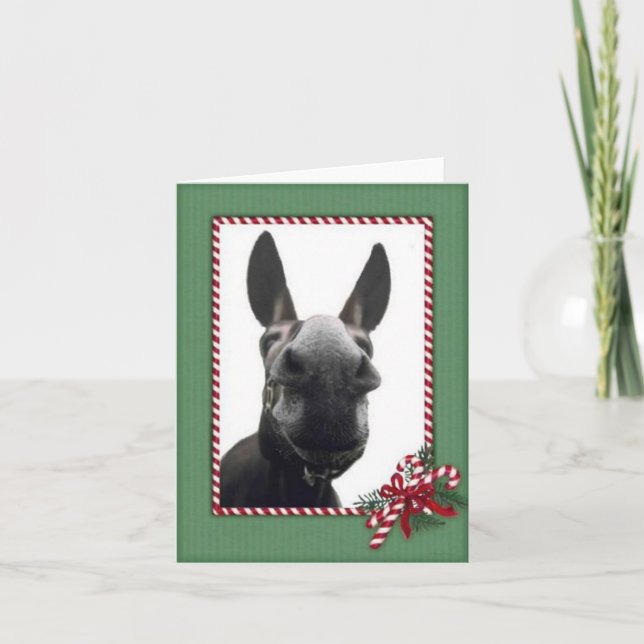 Holiday Cody Feiertagskarte (Vorderseite)