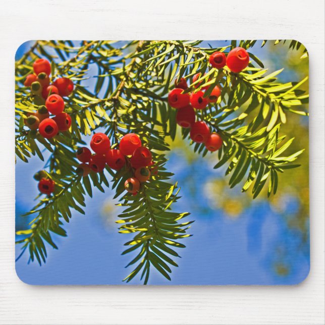 Holiday Conifers Mousepad (Vorne)