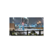 Holiday Fun at Canalside