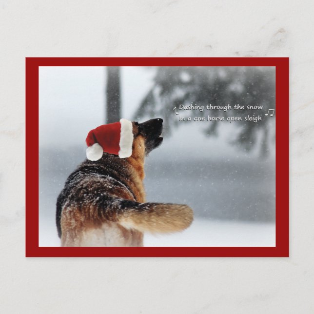 Holiday German Shepherd Feiertagspostkarte (Vorderseite)