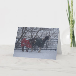 Holiday Greetings Feiertagskarte