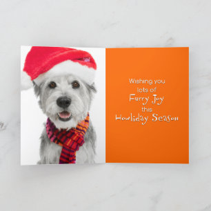 Holiday Gruß Card Scrappy Jackson Spade Feiertagskarte