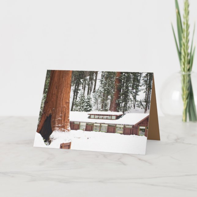 Holiday Grußkarte mit schneebedeckten Redwoods Karte (Vorderseite)