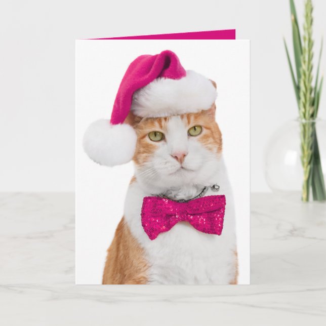 Holiday Grußkarte Spunky Kitty Feiertagskarte (Vorderseite)