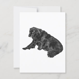 Holiday Hallo von Lounge Dog Postkarte