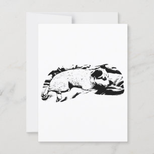 Holiday Hello aus Bed and Blanket Postkarte