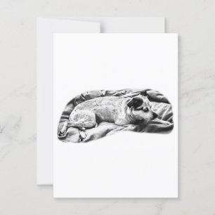 Holiday Hello aus Bed and Blanket Postkarte