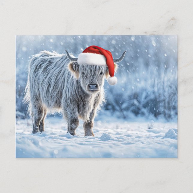Holiday Highland Calf in the Snow Cute Postkarte (Vorderseite)