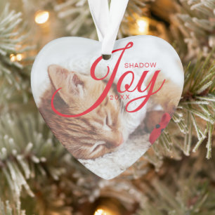 Holiday Joy Modernes & Minimales Foto mit mehreren Ornament