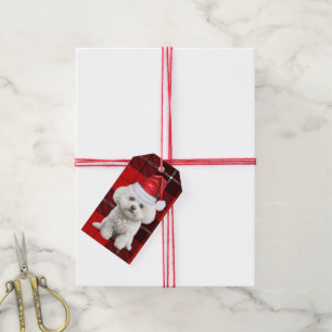 Holiday Kariert Coton de Tulear Dog Weihnachten Geschenkanhänger