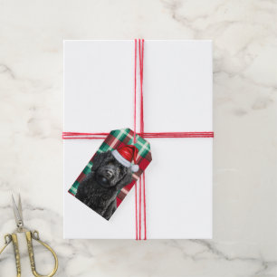 Holiday Kariert Labradoodle Dog Lover Weihnachten Geschenkanhänger
