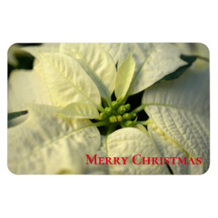 Holiday Magnet-Poinsettia Magnet